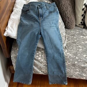 Women Blue Denim Flare Jeans